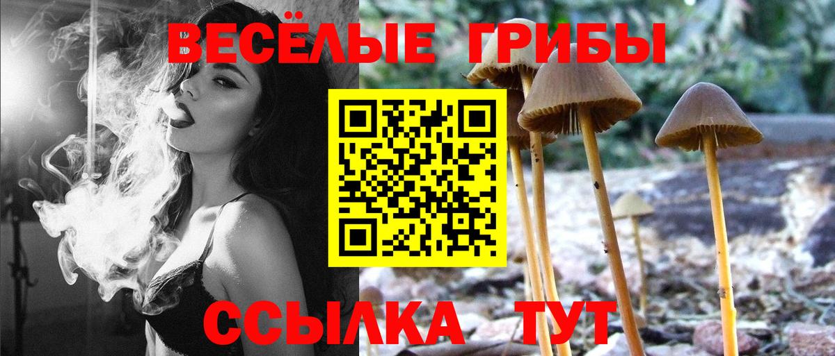 Псилоцибиновые грибы Cubensis  Галлюциногенные грибы Psilocybine cubensis  Лысьва  Вход с VPN 
